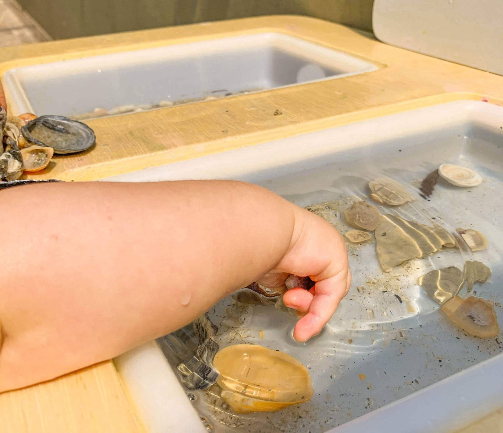 Brincadeira com Agua Assinatura de Brinquedos Educacionais Just Real Moms