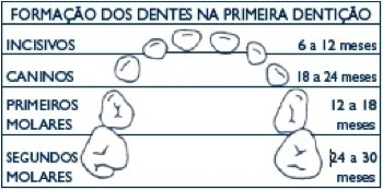 dentista3