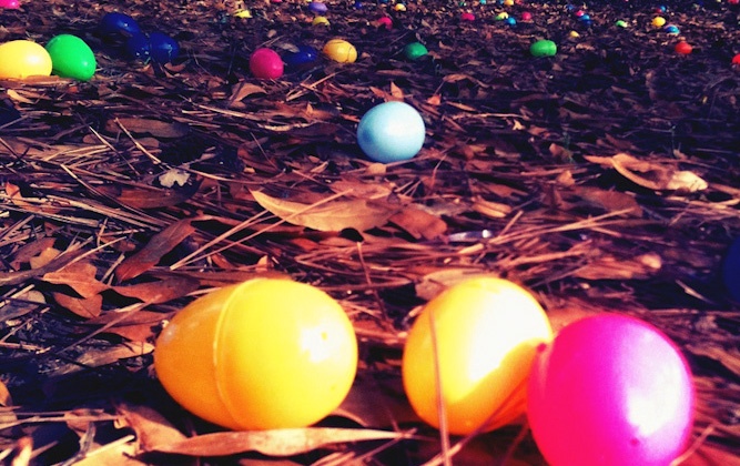 egg4
