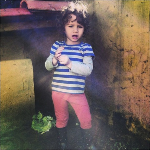 fabio6