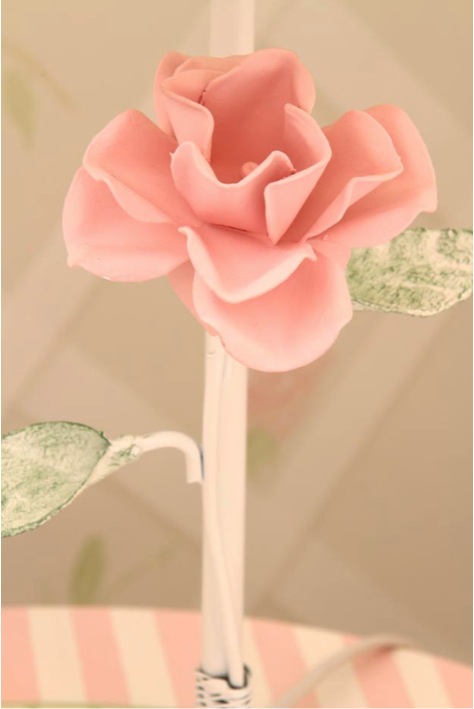 ciccy16