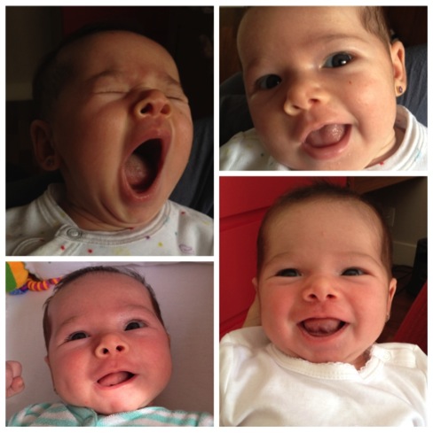 livia13