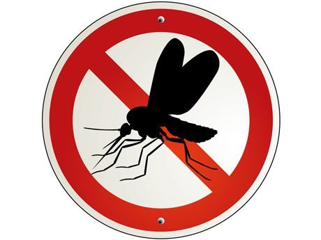 7077.proteger-mosquitos.jpg-550x0