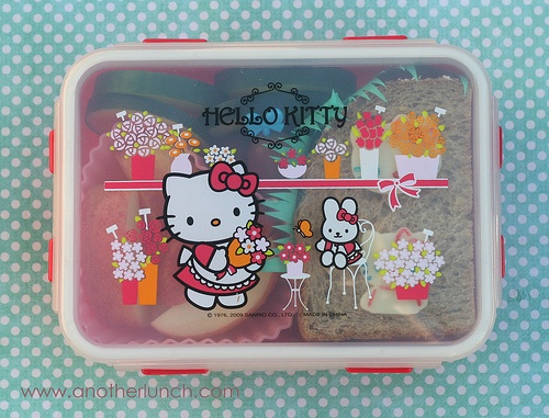 lanche2