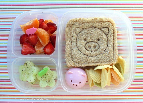 lanche5