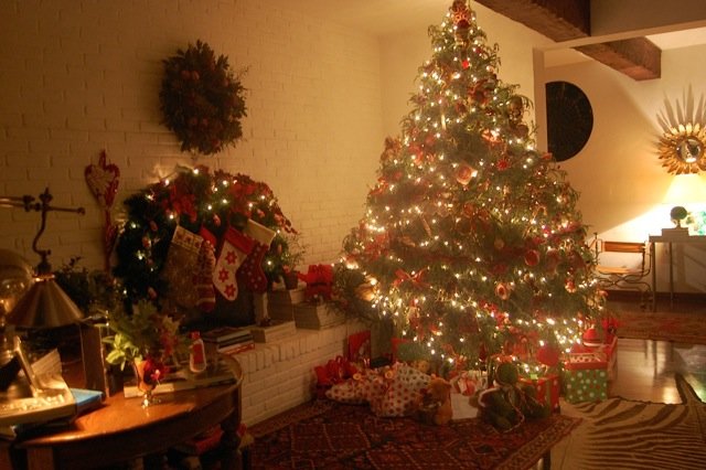 luciana_gelfi-just_real_moms-6