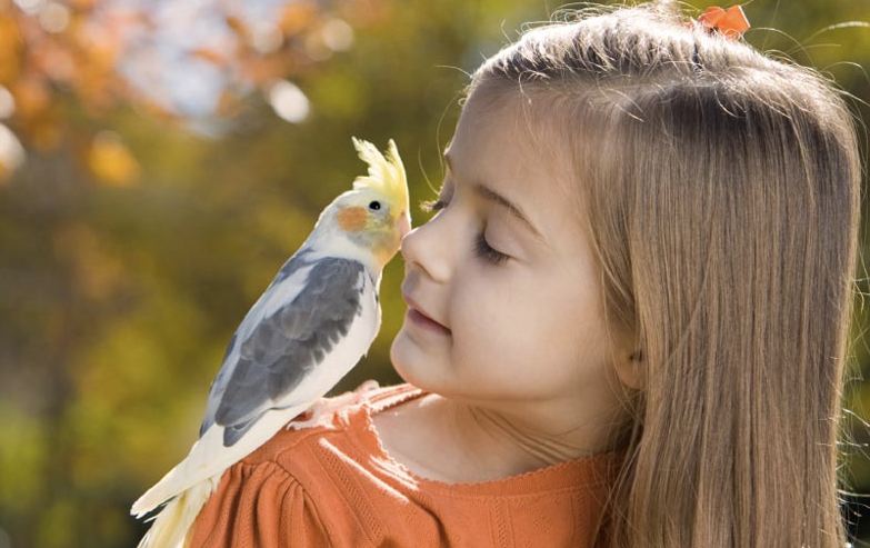 Captura de Tela 2014-10-19 às 23.32.33