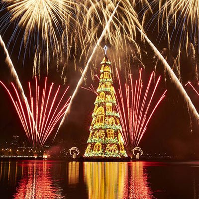 riokids-porai-arvorelagoa