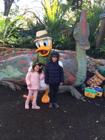 ciccydisney7