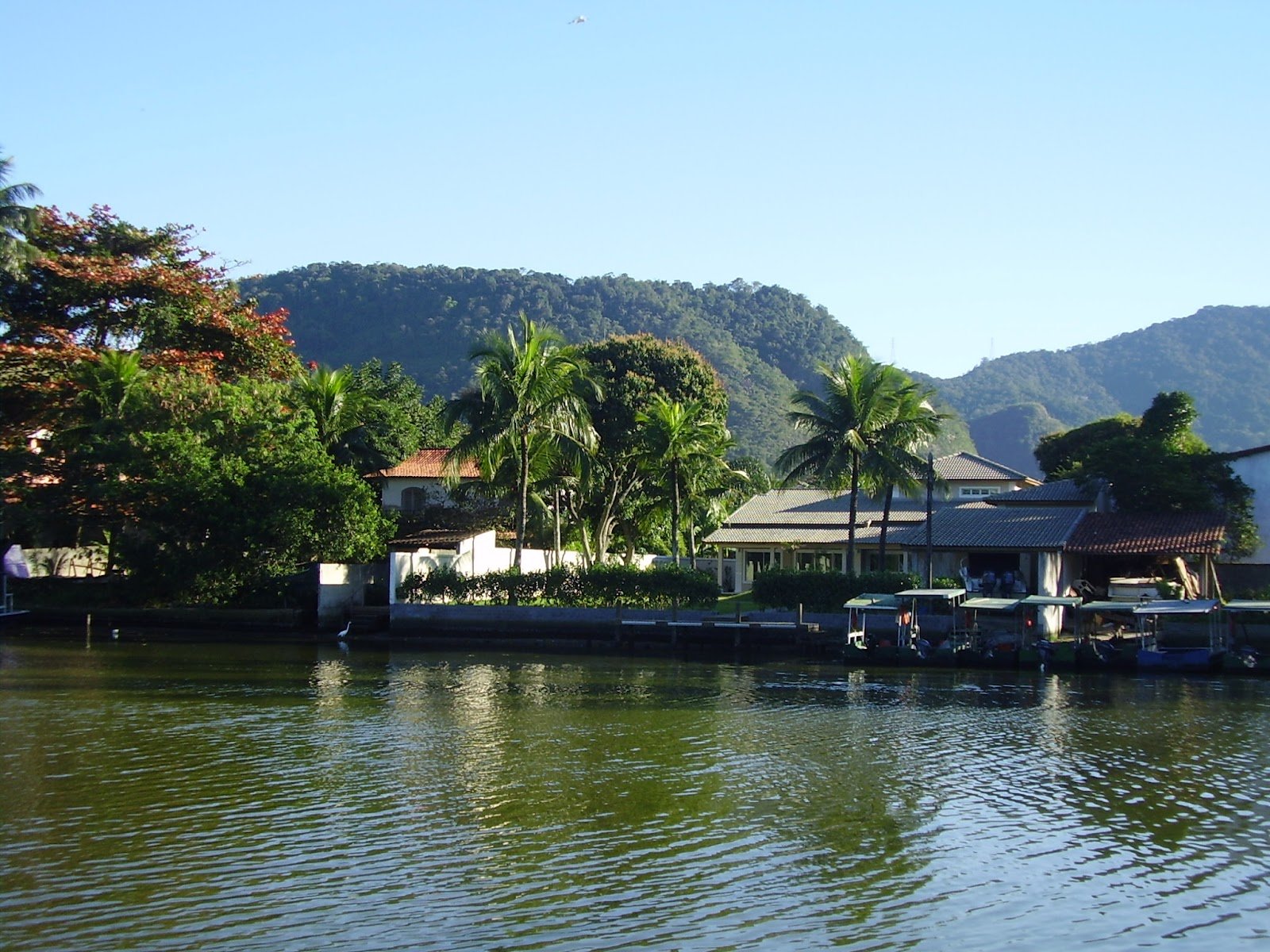 riokids-porai-gigoia2