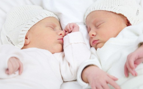 Coisas sobre irmãos gêmeos - Just Real Moms