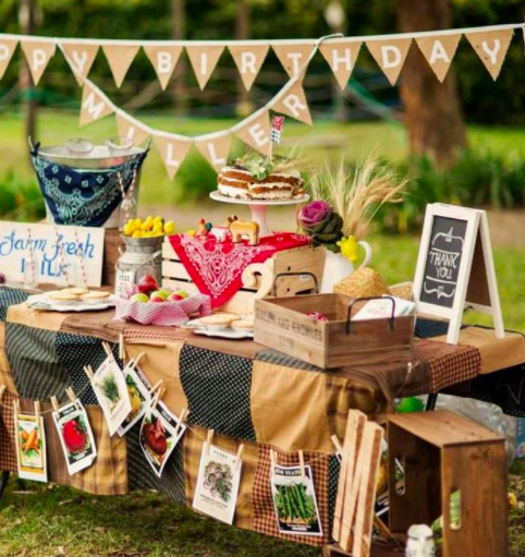 Tema para festa de menino - Just Real Moms