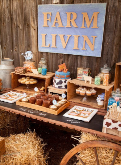 Tema para festa de menino - Just Real Moms