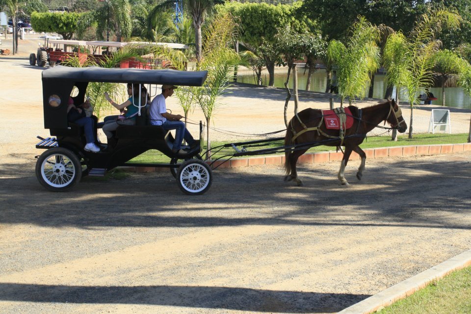 Programação especial infantil em São Paulo