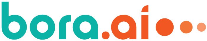 bora ai