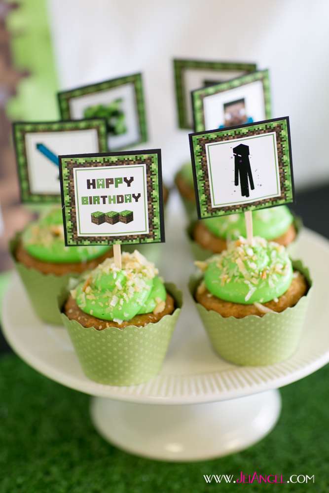 Minecraft Party!