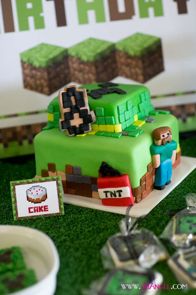 Minecraft Party!