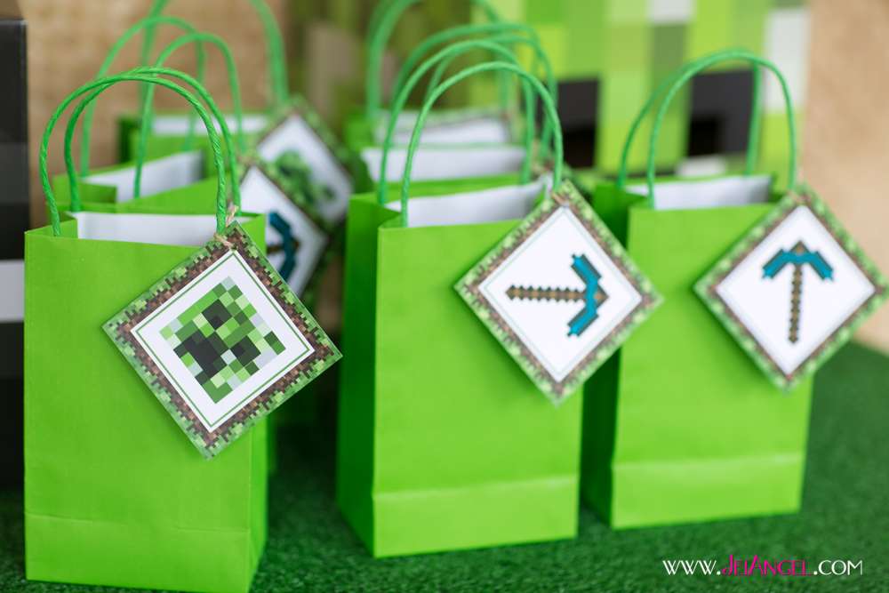 Minecraft Party!