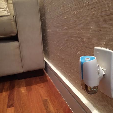 Como preparar a casa para evitar os mosquitos no verão!