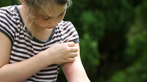 Como proteger meu filho contra o Aedes aegypti? – por Dra. Juliana Macéa