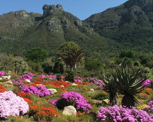 Dicas de Cape Town - Just Real Moms