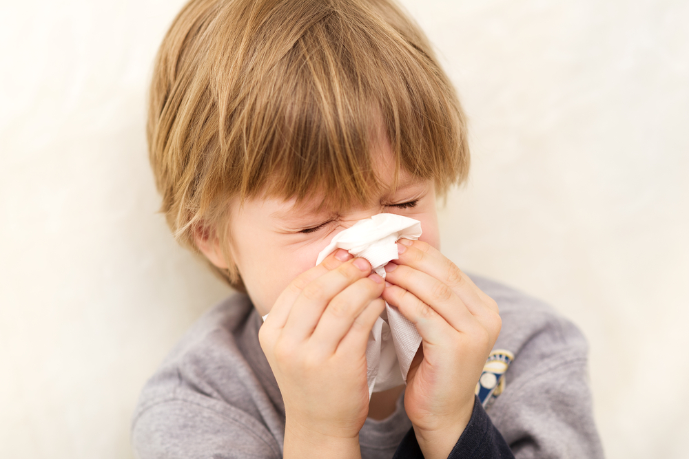 Gripe Influenza H1N1 - Just Real Moms