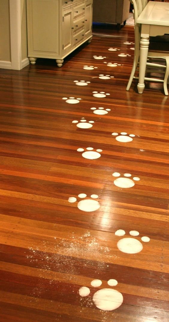 Magia da Páscoa - Pegadas de coelho - Just Real Moms