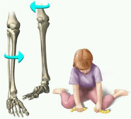 Sentar em W - Just Real Moms