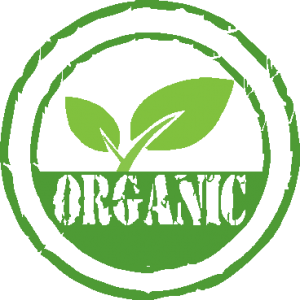Produtos orgânicos para bebês e crianças - Just Real Moms