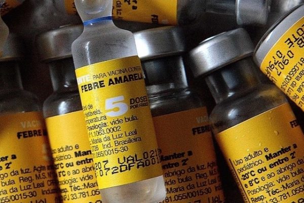 Tudo que você precisa saber sobre o surto de Febre Amarela - por Dr. Jairo Len - Just Real Moms