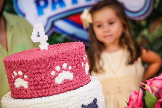 Tudo sobre a festa de 4 anos da Ana Helena – Tema Patrulha Canina