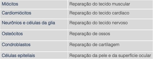 Como funciona a coleta de células-tronco do dente de leite? - por Dra. Paola Vidigal - Just Real Moms