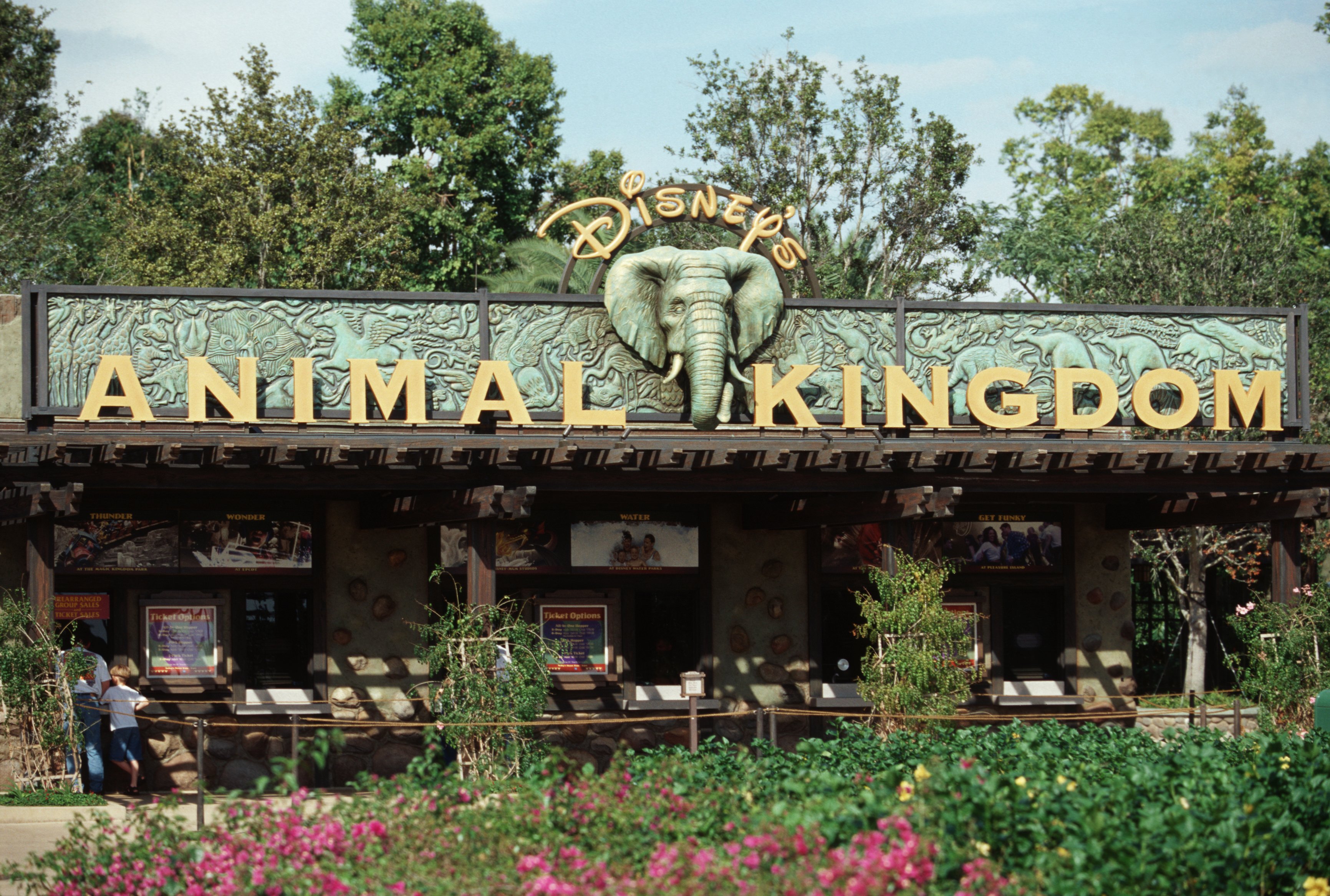 Dicas ótimas para ir à Disney com crianças - Just Real Moms