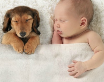 10 fotos provam que a amizade entre cachorros e crianças é puro amor