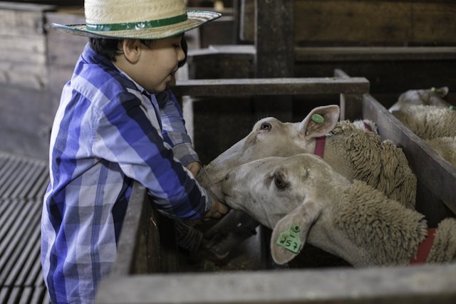 Os passeios mais legais de Porto Alegre - por bora.ai