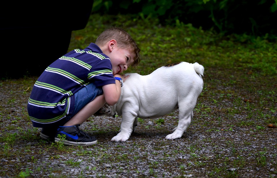 Os 9 benefícios de cachorros crescerem junto à crianças