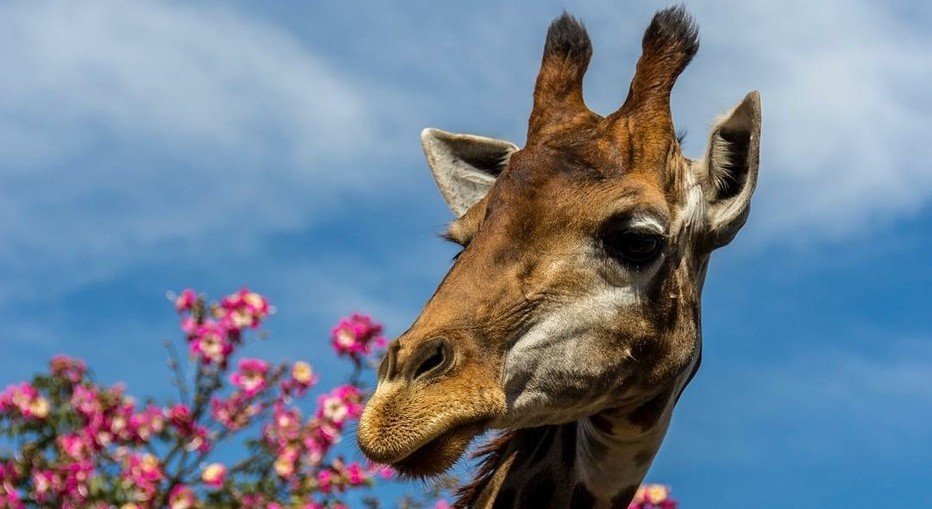 Programação infantil em Brasília - por bora.ai