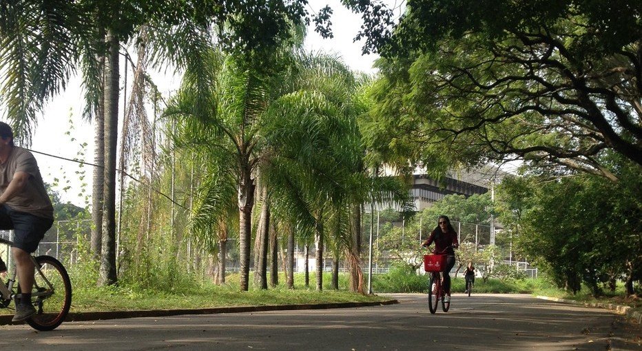 Passeios legais para fazer com crianças em São Paulo - bora.ai