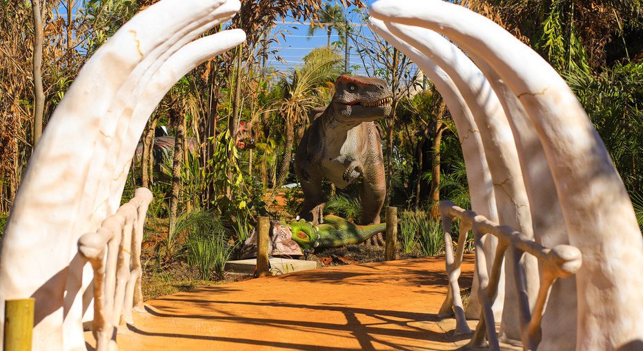 Passeios infantis que acontecerão em São Paulo - por bora.ai