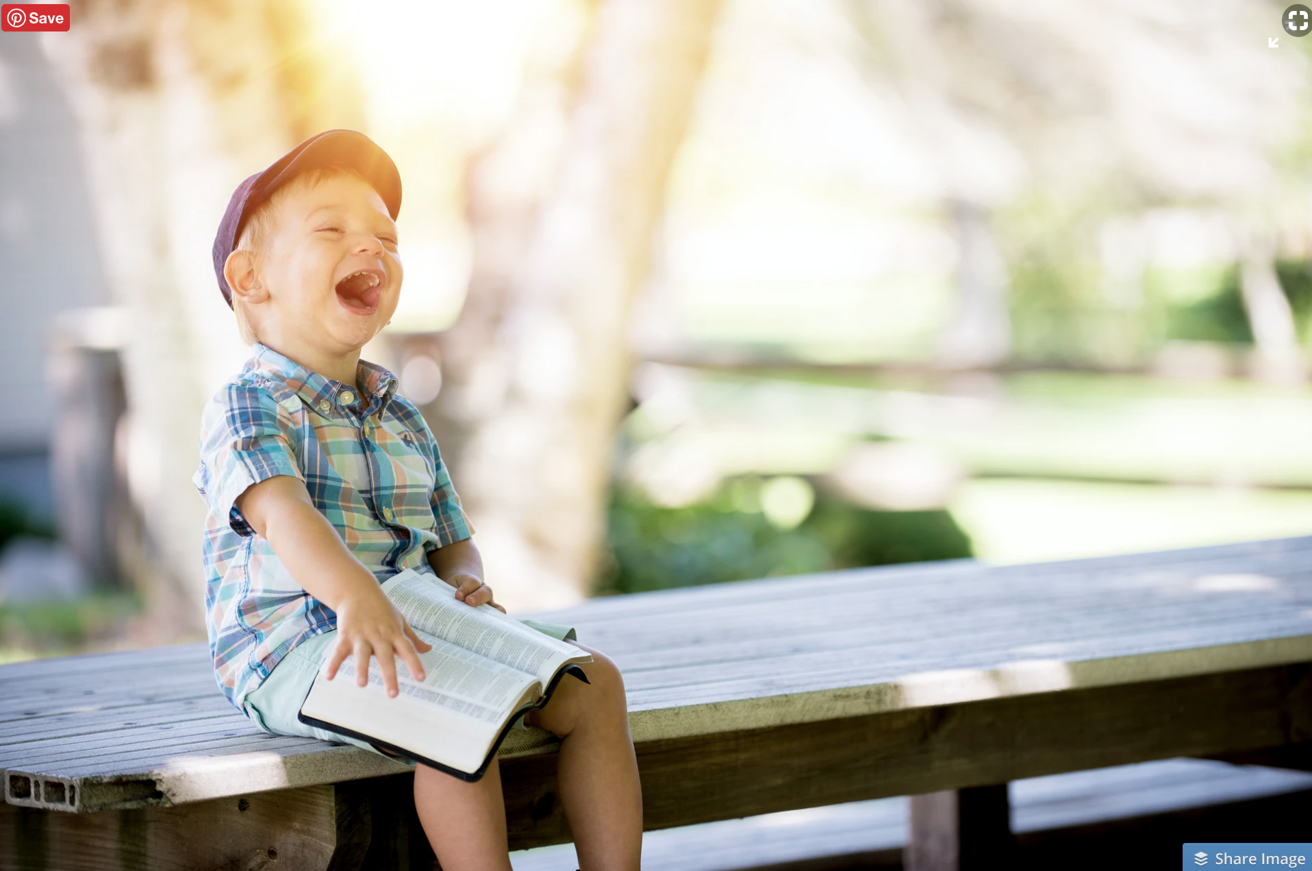 Just Real Moms 11 Livros Sobre a Maternidade Livros Infantis