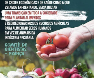 Just-Real-Moms-Maternidade-E-Veganismo-Dani-E-Fabio-Zukerman-Crise-Economica
