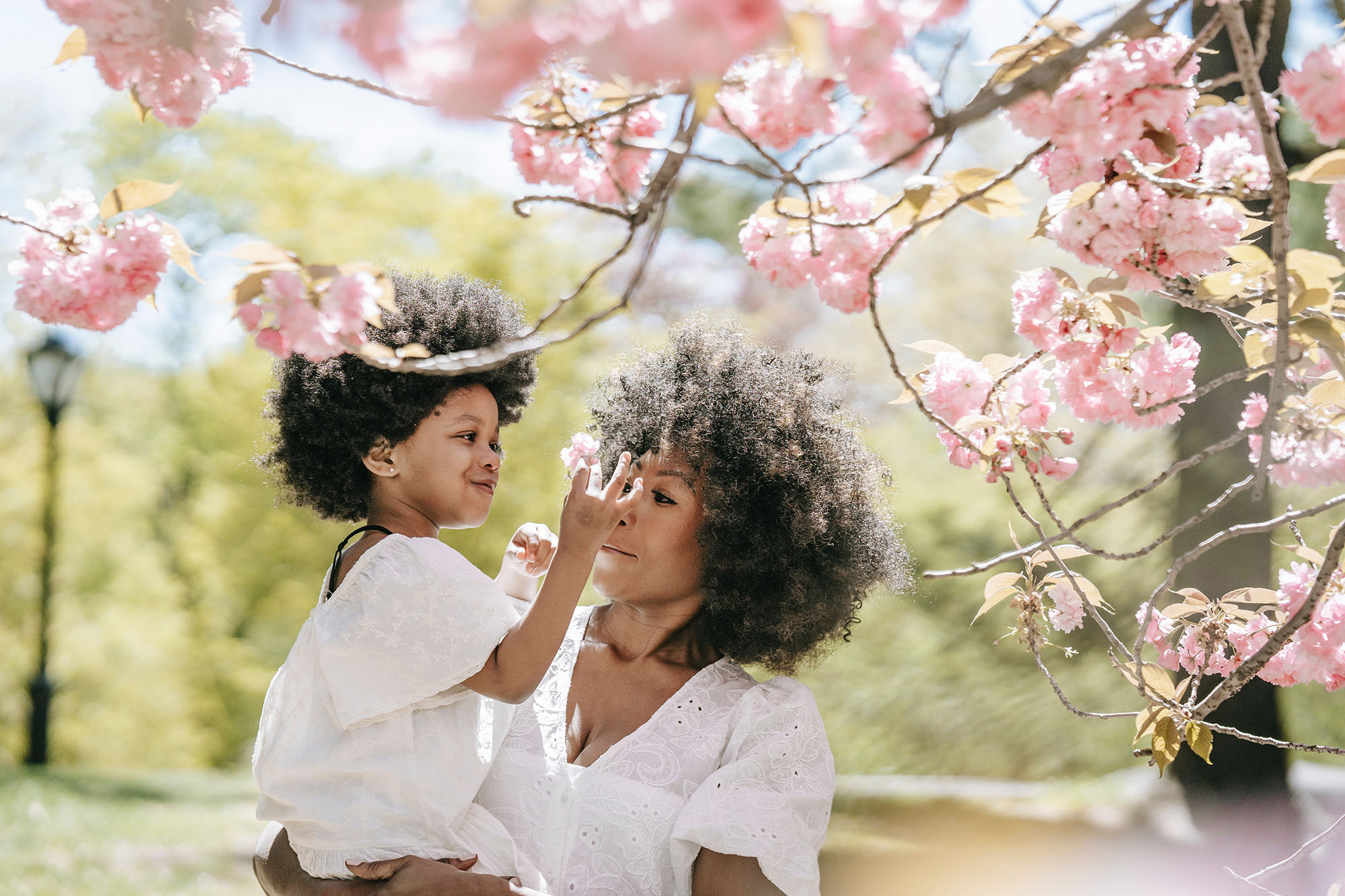 Ancestralidade Negra Ser Antirracista Paula Batista Just Real Moms