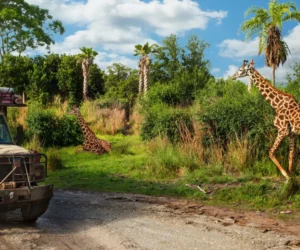 Animal-Kingdom-Disney-Orlando-Kilimanjaro-Safari-Just-Real-Moms