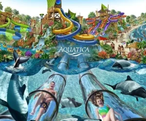 Aquatica-SeaWorld-Parques-Orlando-Just-Real-Moms