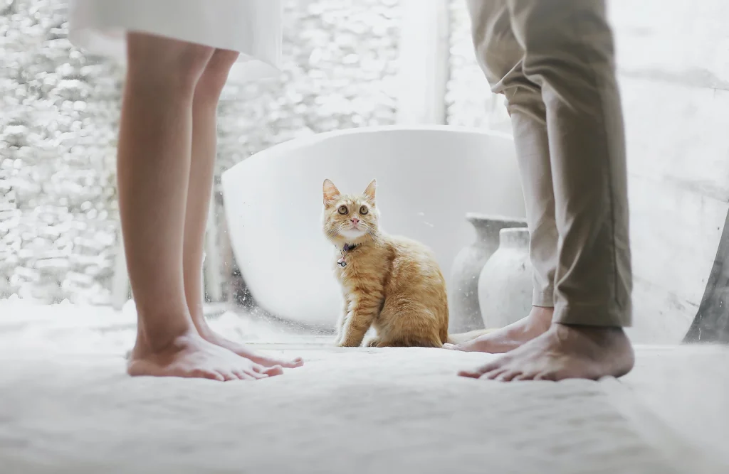 5 dicas de como evitar um divórcio desgastante Day Neves Advocacia Just Real Moms