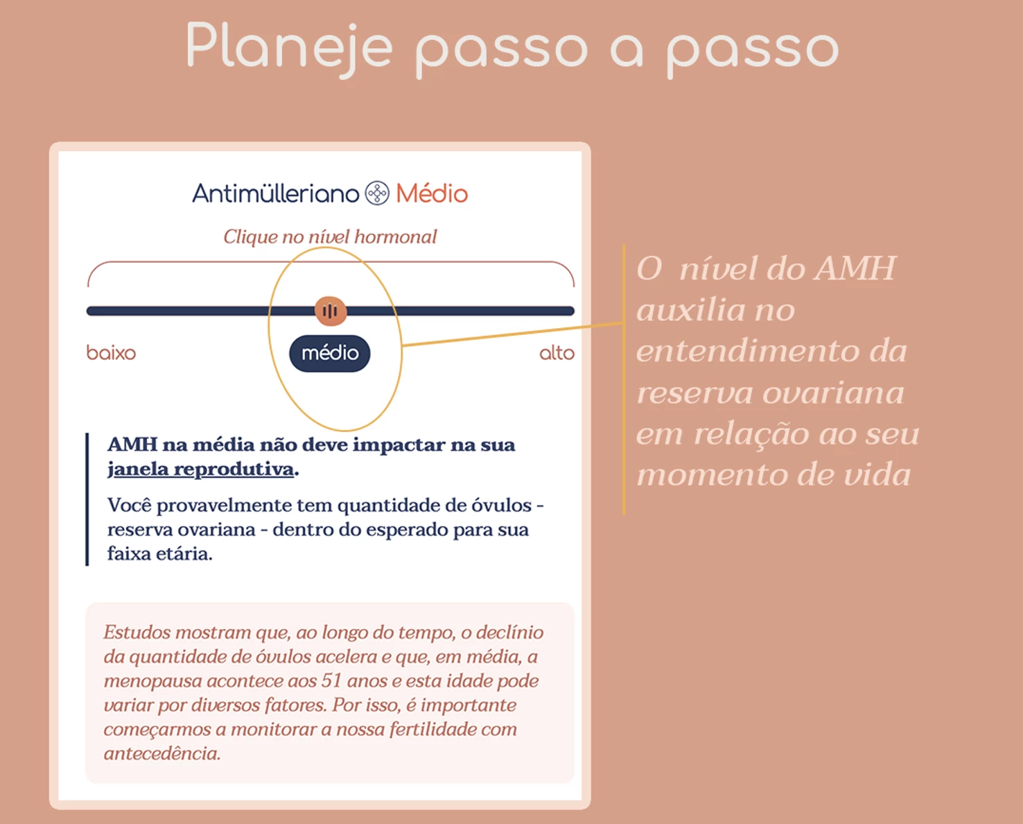 AMH Antimulleriano Planeje sua vida reprodutiva Fertilid Just Real Moms