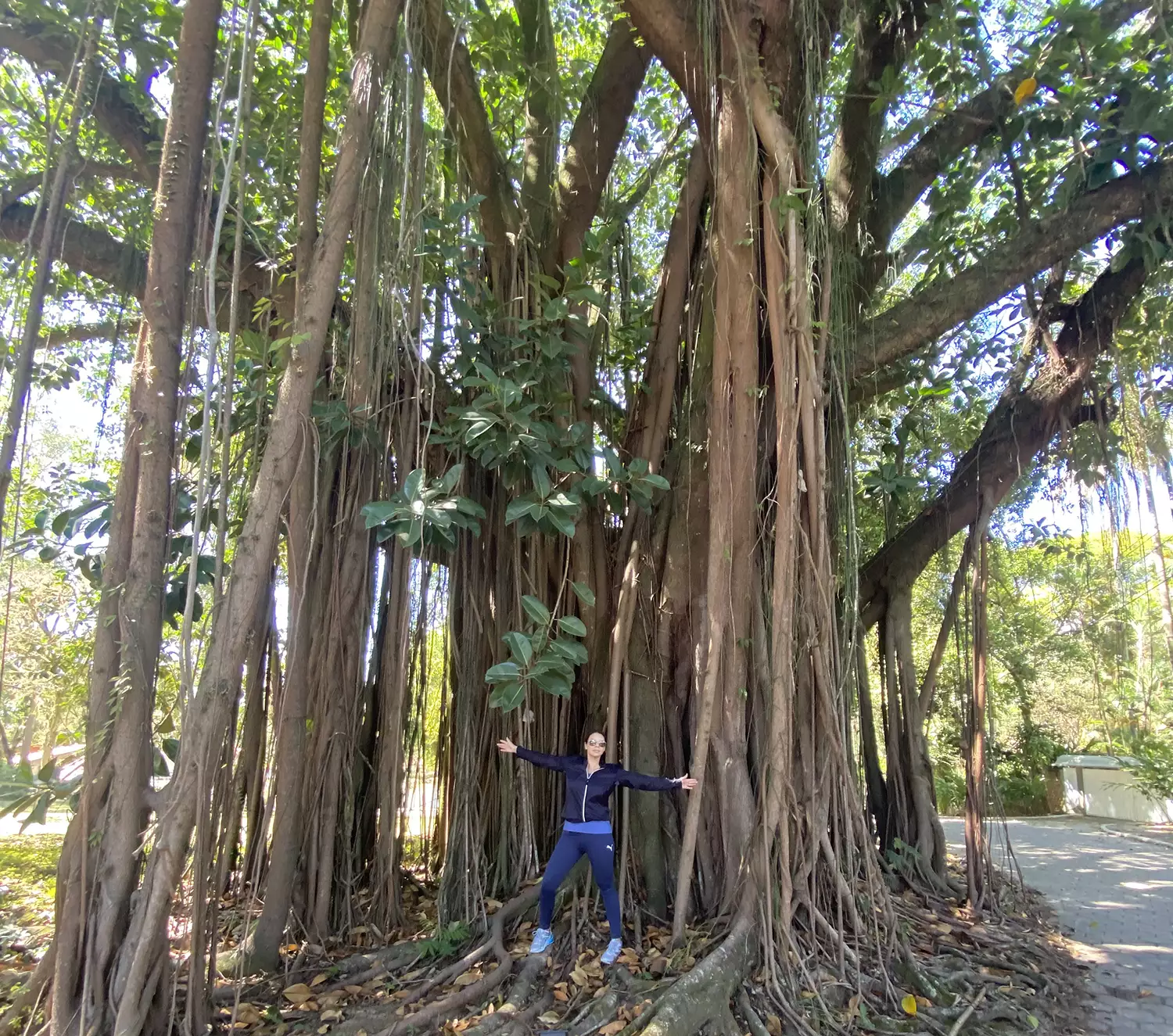 Paisagem Hotel Golfe Clube dos 500 Just Real Moms