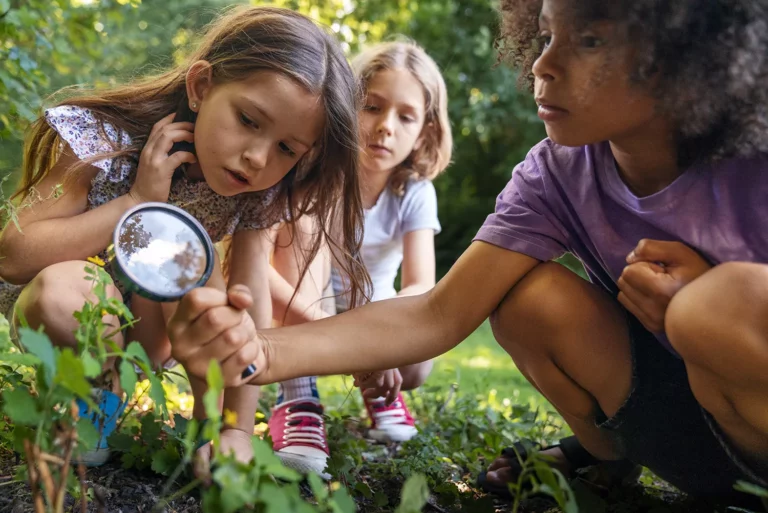 A importância do contato com a natureza para o desenvolvimento infantil