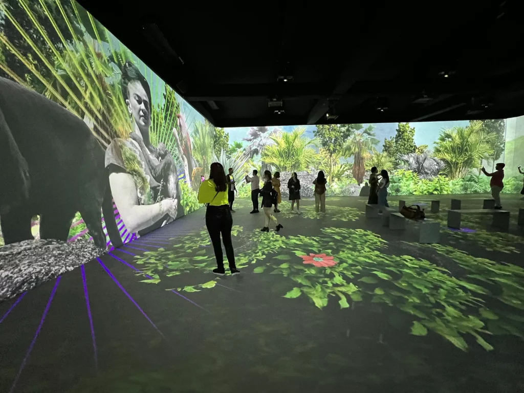 Projeções 360 Frida Kahlo A Vida de Um Ícone São Paulo Just Real Moms