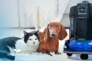 Pets-Aspirador-Rainbow-sistema-purificacao-higienizacao-Just-Real-Moms